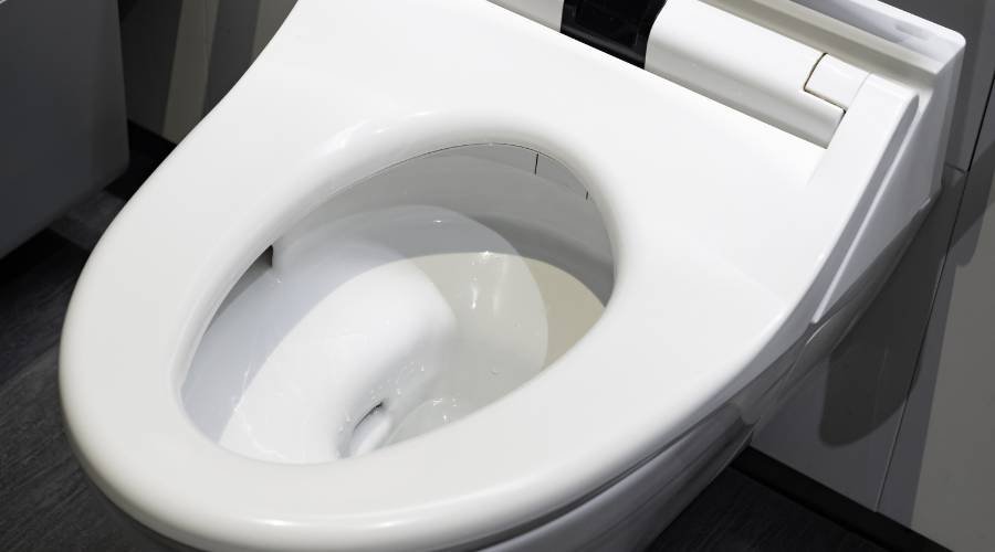 toilet-seat