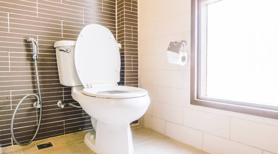 toilet-seat