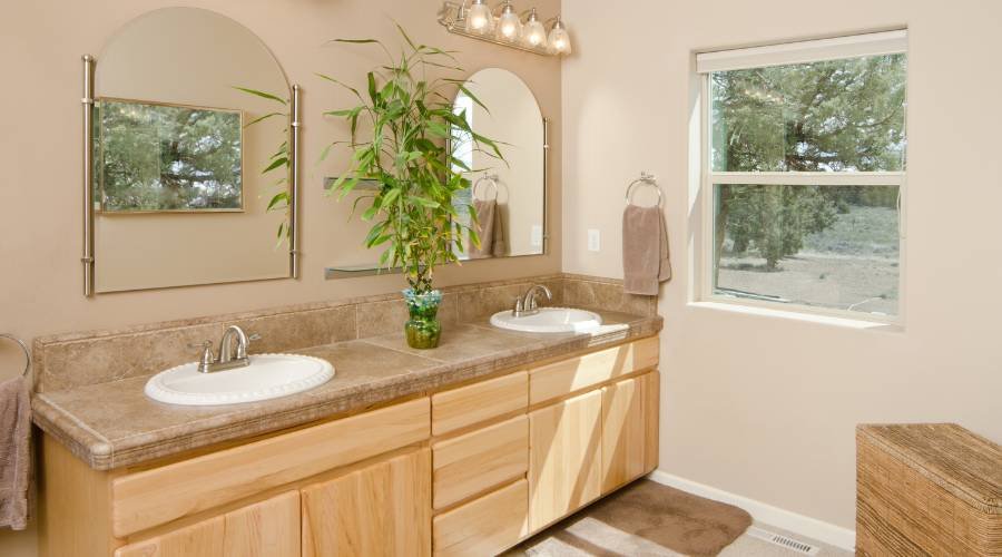 biophilic modern bathroom design natural elements timber stone plants