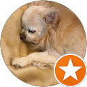 Shar Bevan profile picture